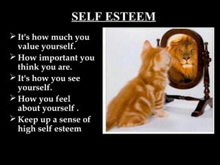 SELF ESTEEM
 It's how much you
value yourself.
 How important you
think you are.
 It's how you see
yourself.
 How you feel
about yourself .
 Keep up a sense of
high self esteem
Dr. B RATAN REDDY ratan b
school www.srgi.info
 