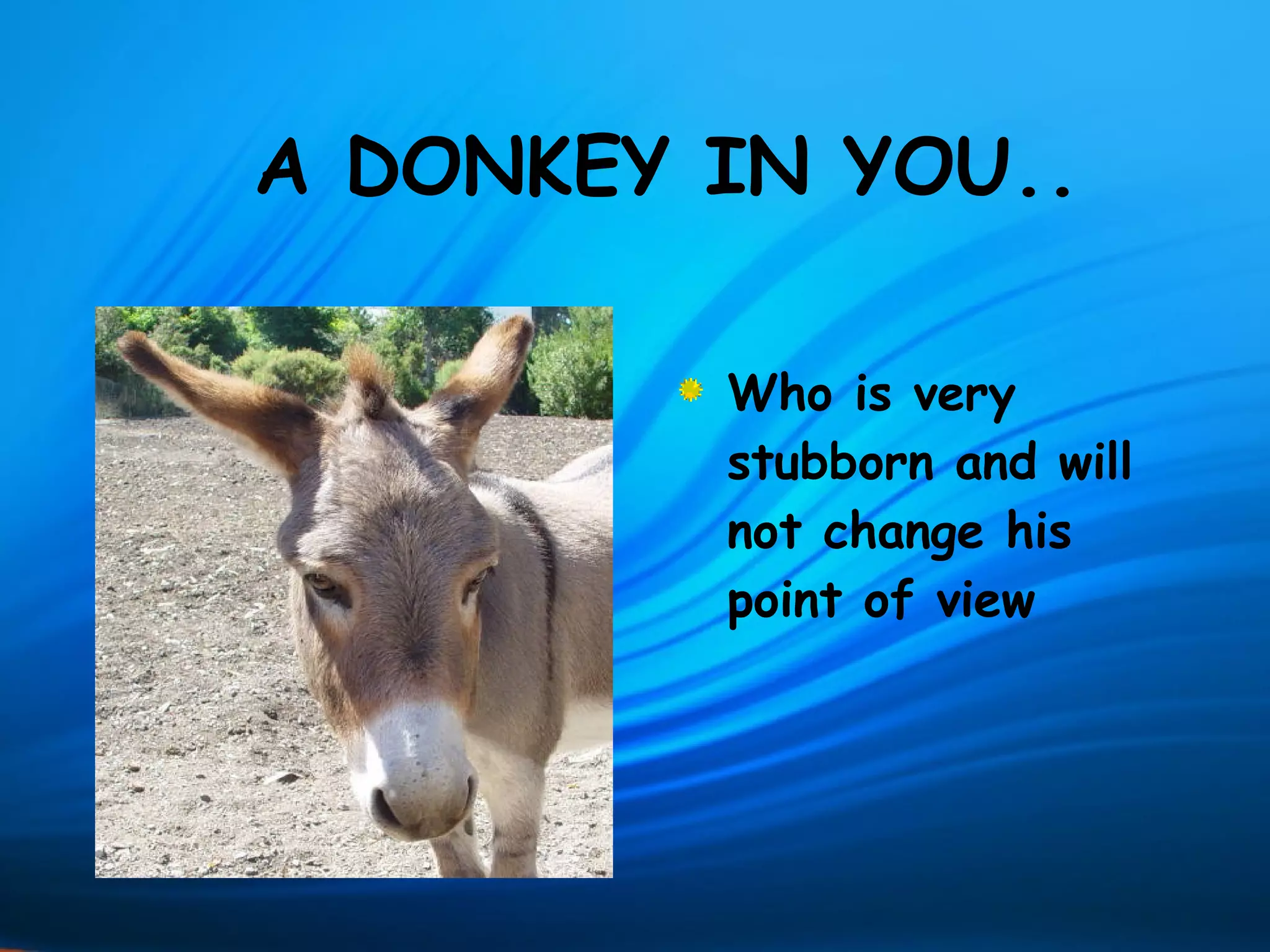 A DONKEY IN YOU..

         Who is very
         stubborn and will
         not change his
         point of view
 