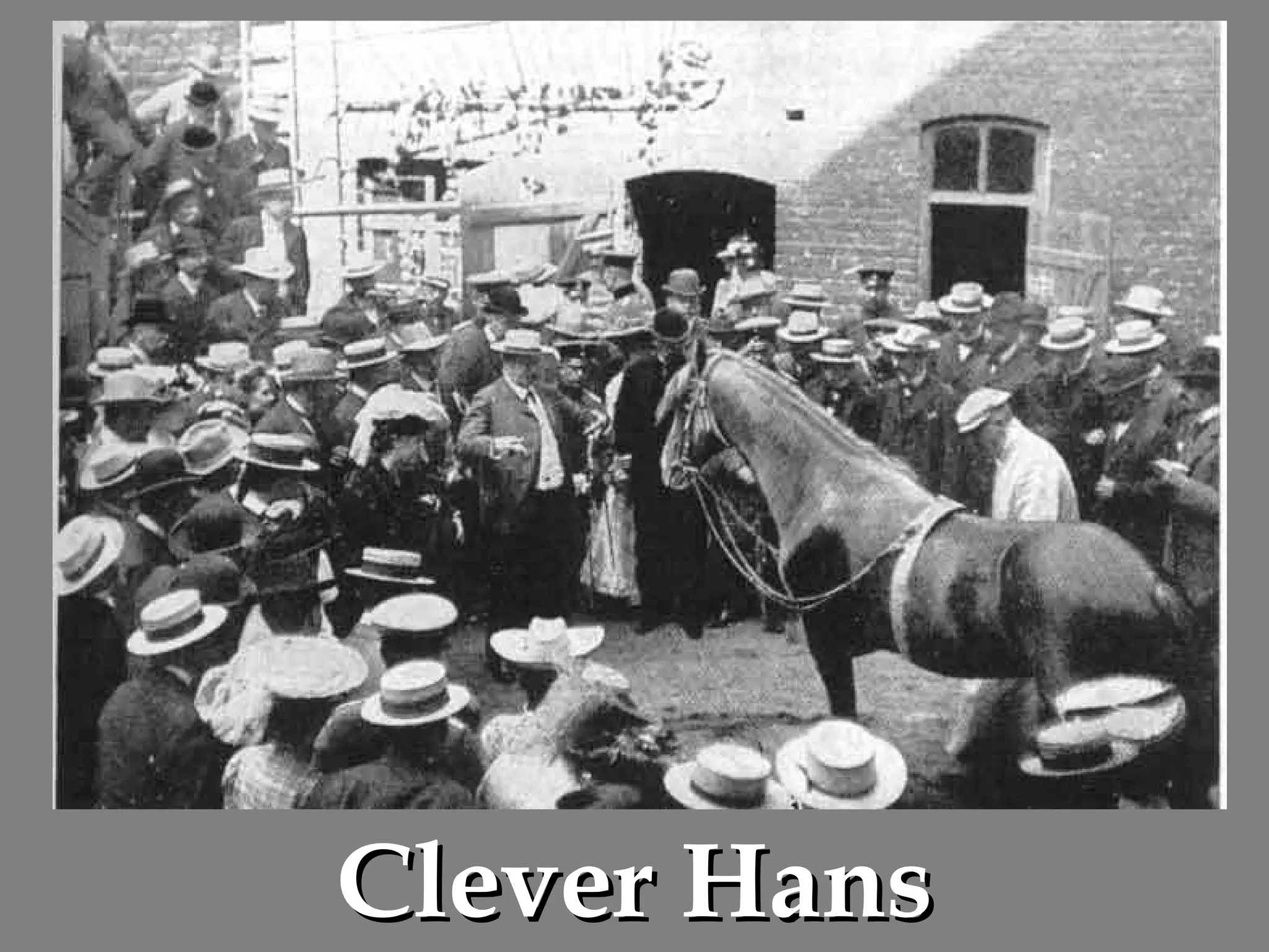 Clever Hans 