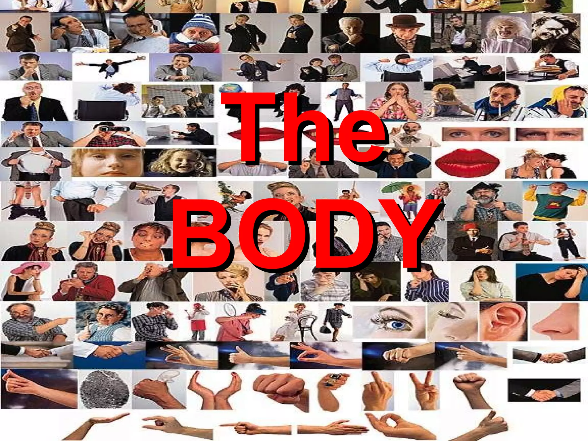 The BODY 