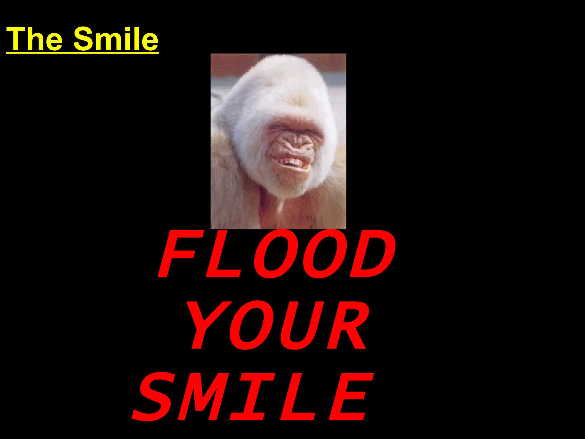 FLOOD YOUR SMILE The Smile 