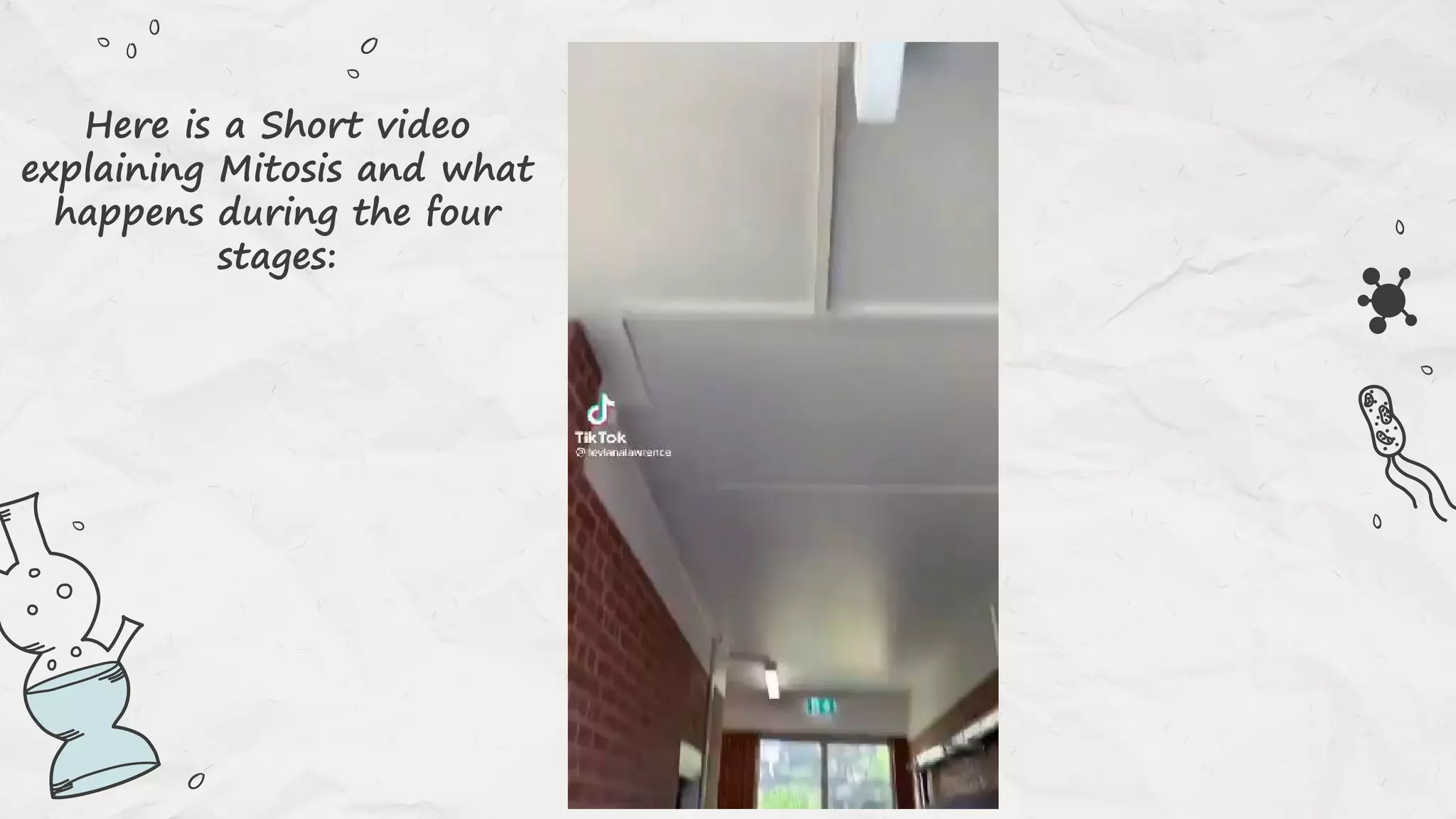 Here is a Short video
explaining Mitosis and what
happens during the four
stages:
 