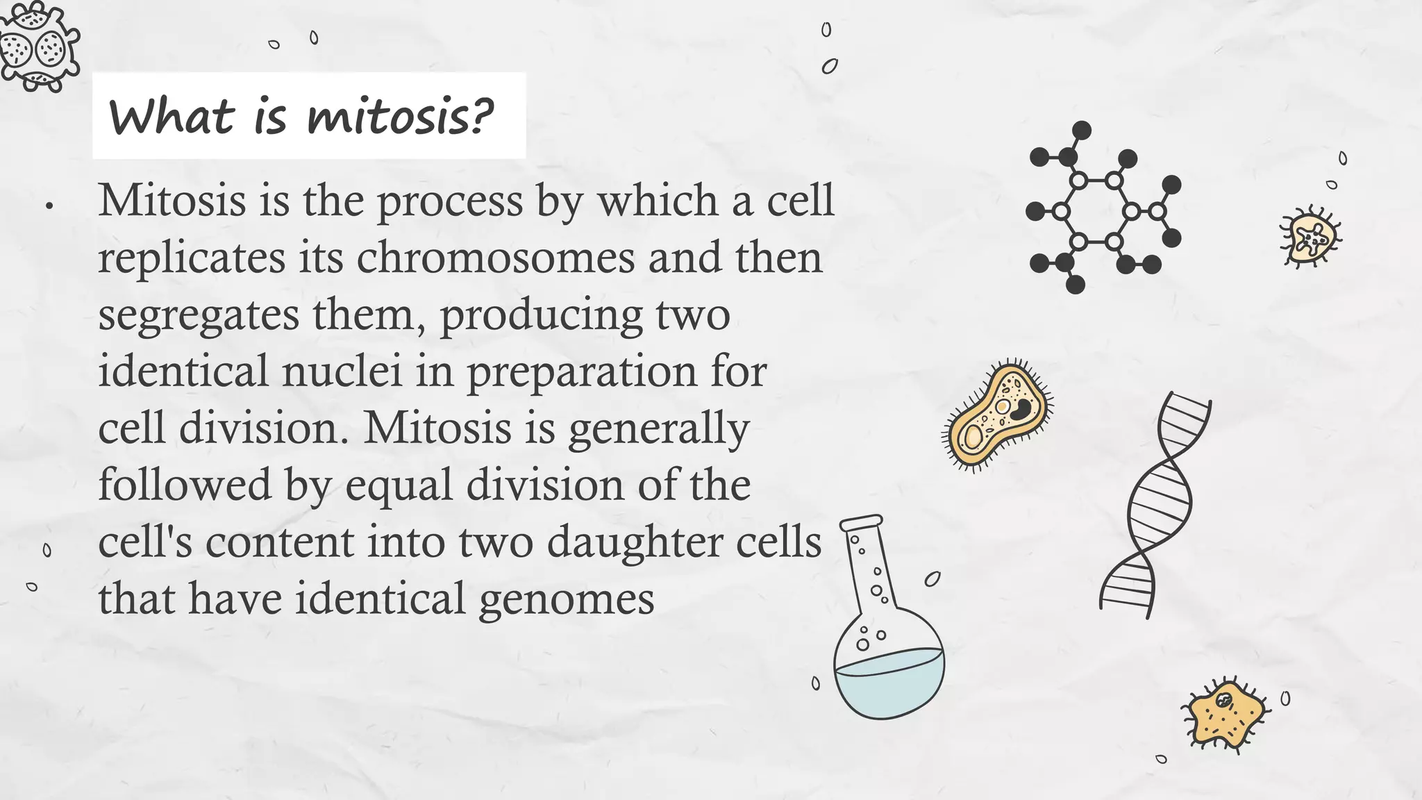 • Mitosis is the process by which a cell
replicates its chromosomes and then
segregates them, producing two
identical nuclei in preparation for
cell division. Mitosis is generally
followed by equal division of the
cell's content into two daughter cells
that have identical genomes
What is mitosis?
 