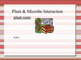 Plant & Microbe Interaction  b.stev plant roots 