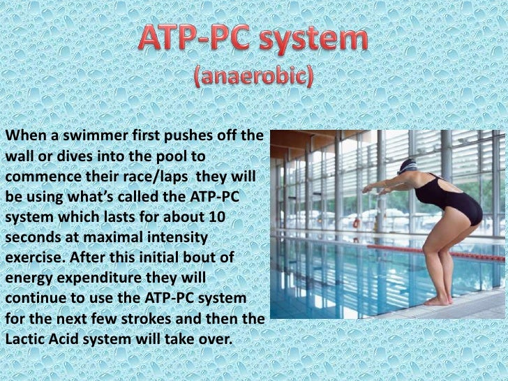 Interplay of the three energy systems in swimming sarah