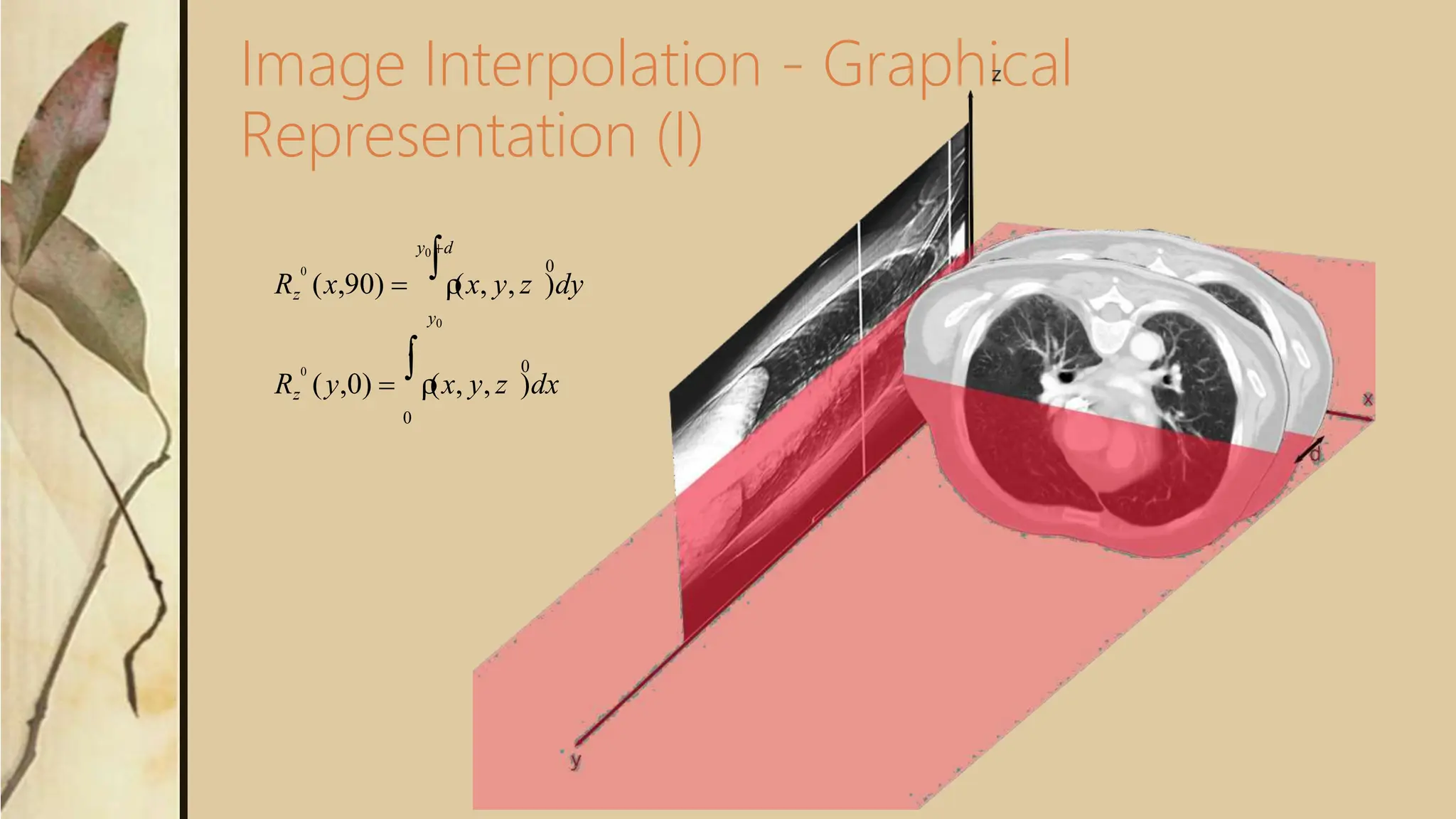 Image Interpolation - Graphical
Representation (I)
y0 d
0  0
Rz (x,90)  
(x, y, z )dy
y0
l
0  0
Rz (y,0)  
(x, y, z )dx
0
 
