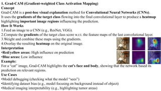 Interpretability and Explainability Module 4.pdf