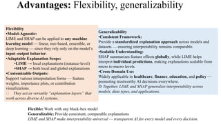 Interpretability and Explainability Module 4.pdf