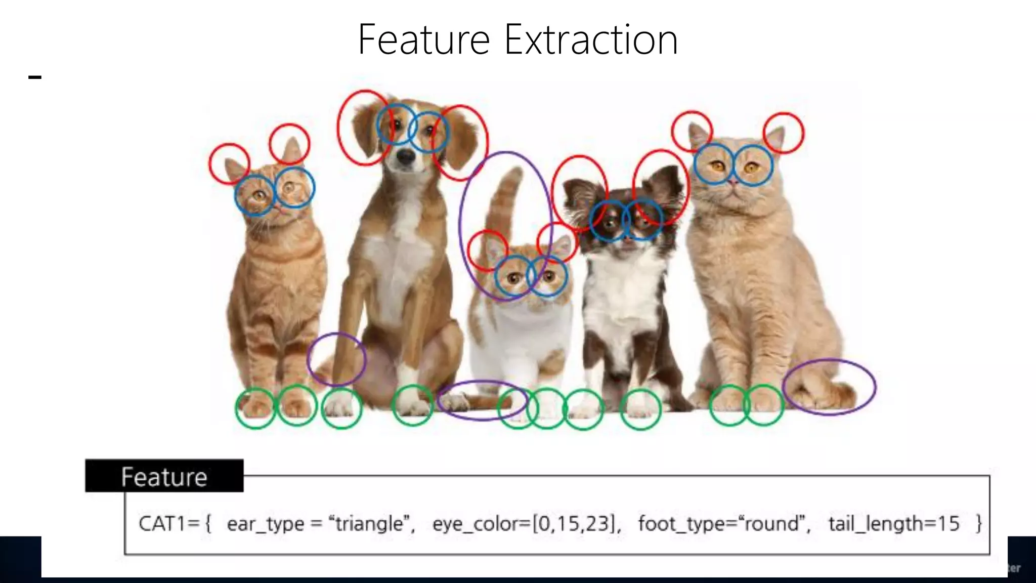 Feature Extraction
19
 