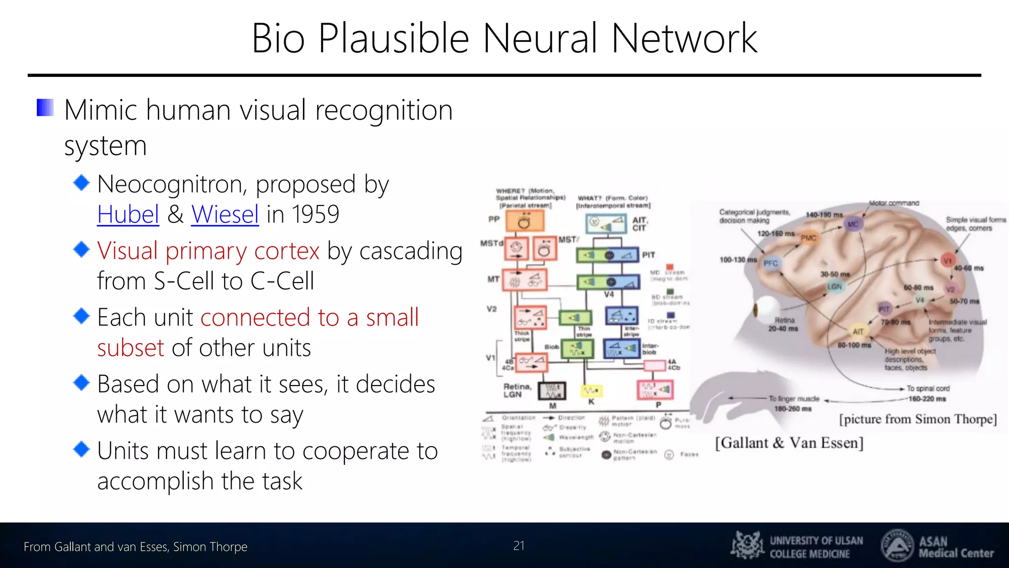 Bio Plausible Neural Network
Mimic human visual recognition
system
Neocognitron, proposed by
Hubel & Wiesel in 1959
Visual primary cortex by cascading
from S-Cell to C-Cell
Each unit connected to a small
subset of other units
Based on what it sees, it decides
what it wants to say
Units must learn to cooperate to
accomplish the task
21From Gallant and van Esses, Simon Thorpe
 
