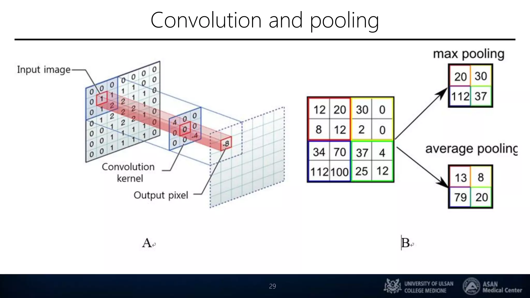 Convolution and pooling
29
 