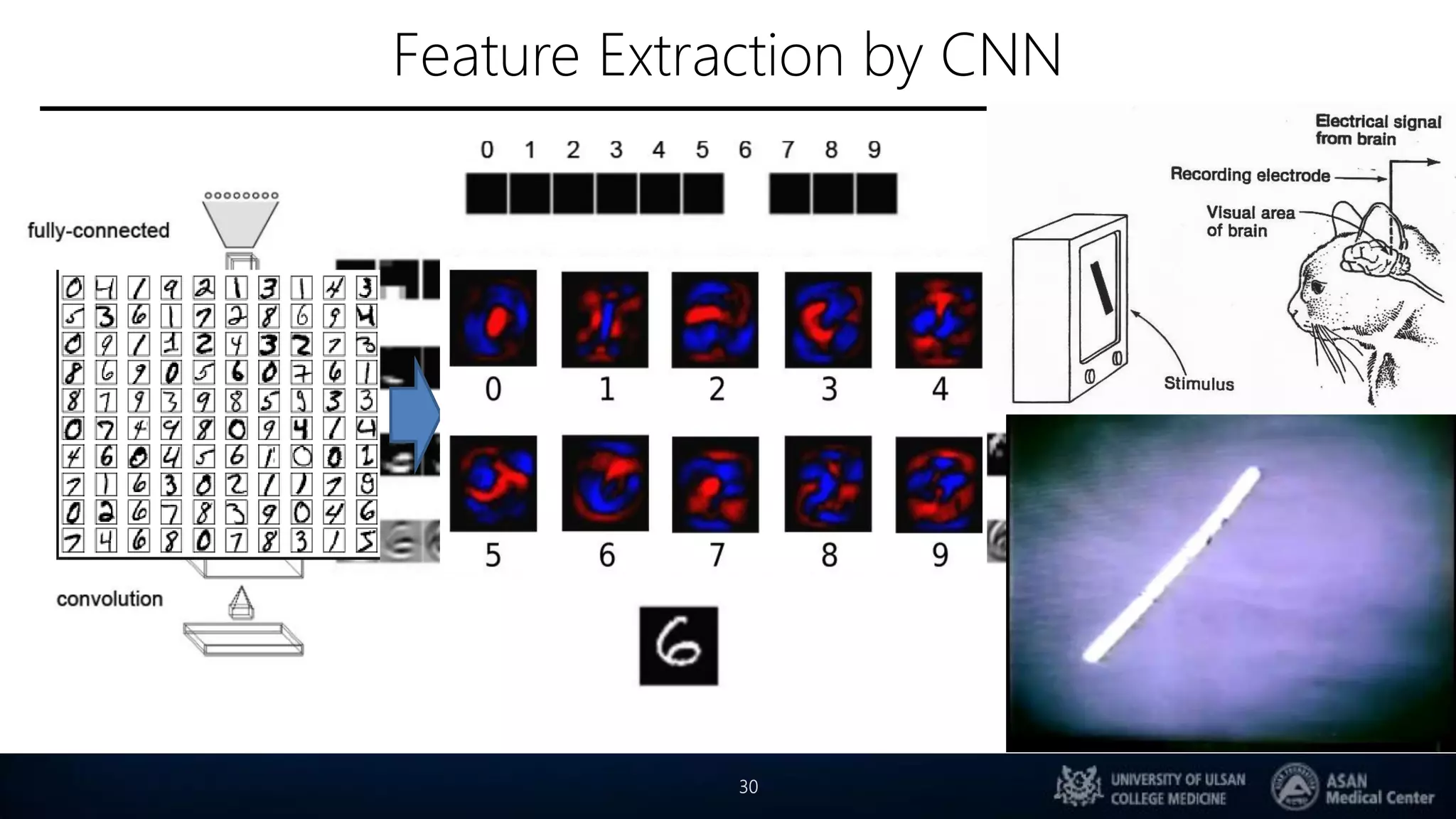 Feature Extraction by CNN
30
 
