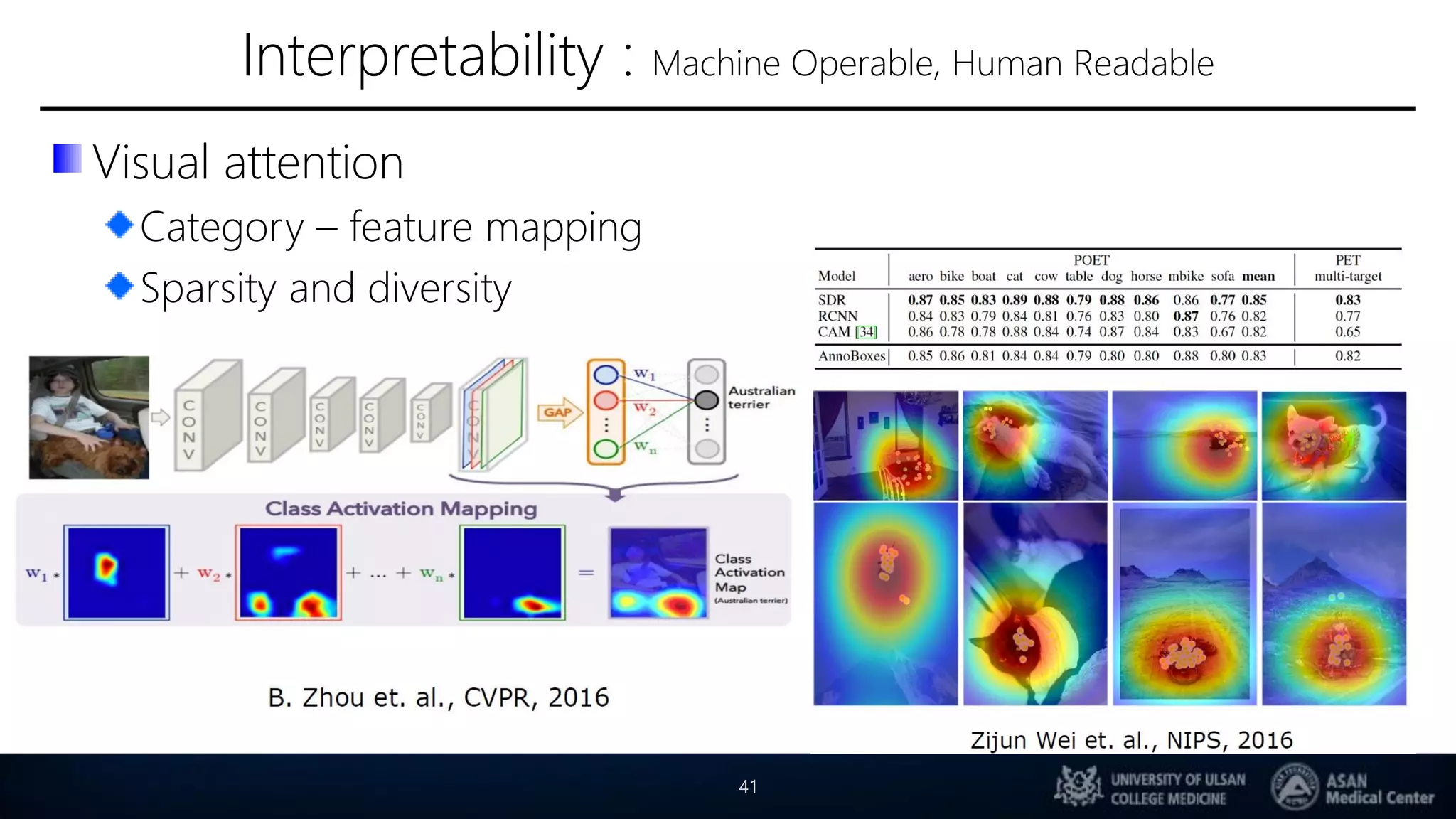 Interpretability : Machine Operable, Human Readable
Visual attention
Category – feature mapping
Sparsity and diversity
41
 