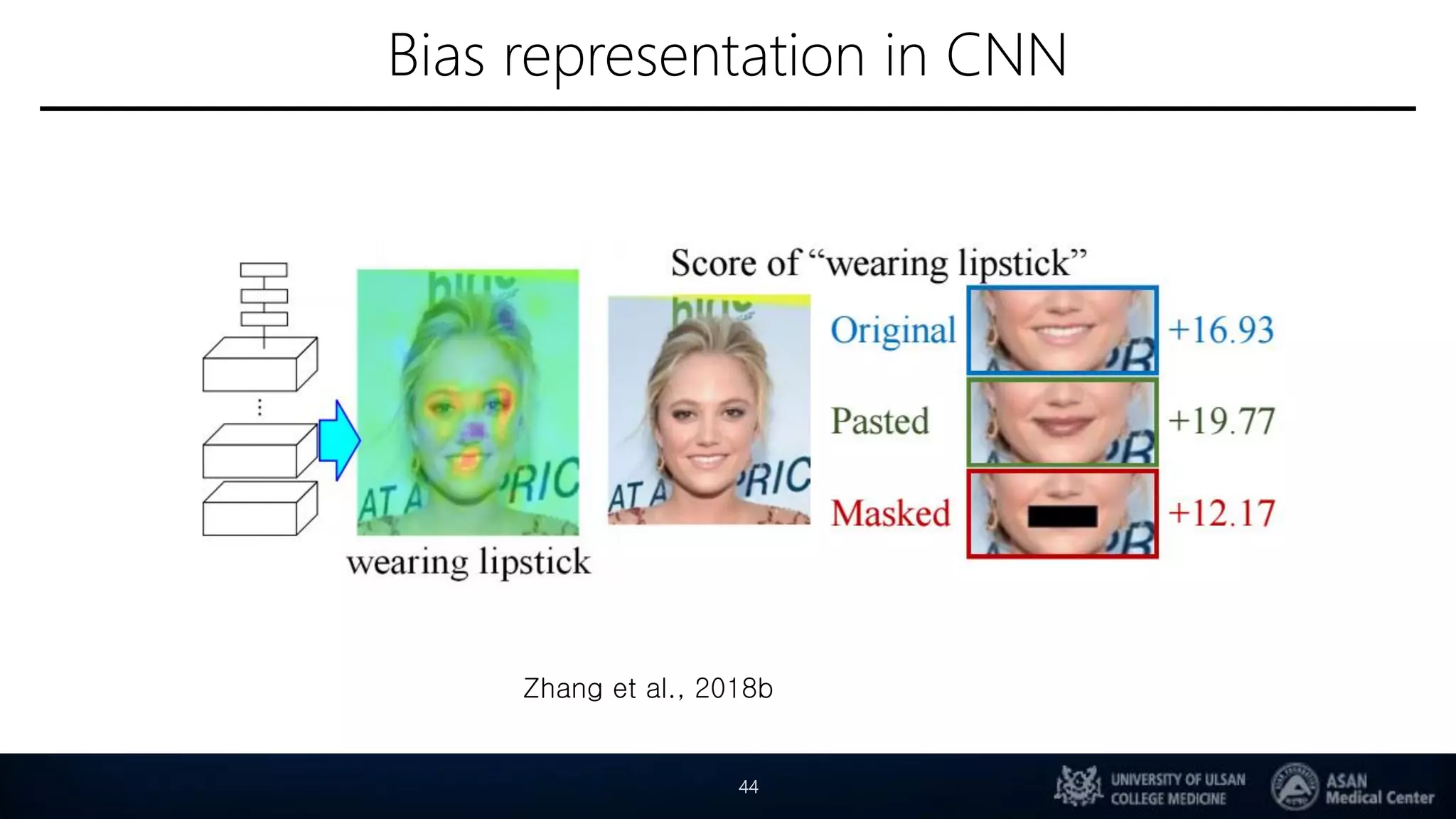 Bias representation in CNN
44
Zhang et al., 2018b
 