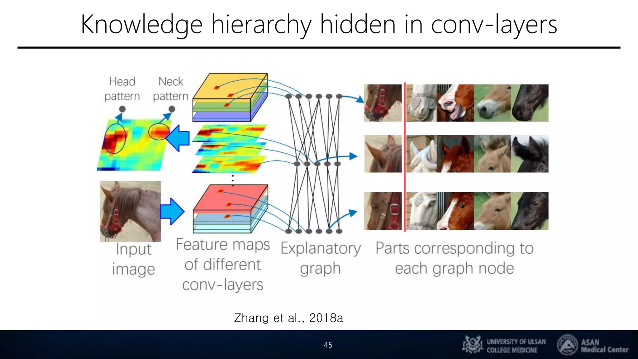 Knowledge hierarchy hidden in conv-layers
45
Zhang et al., 2018a
 