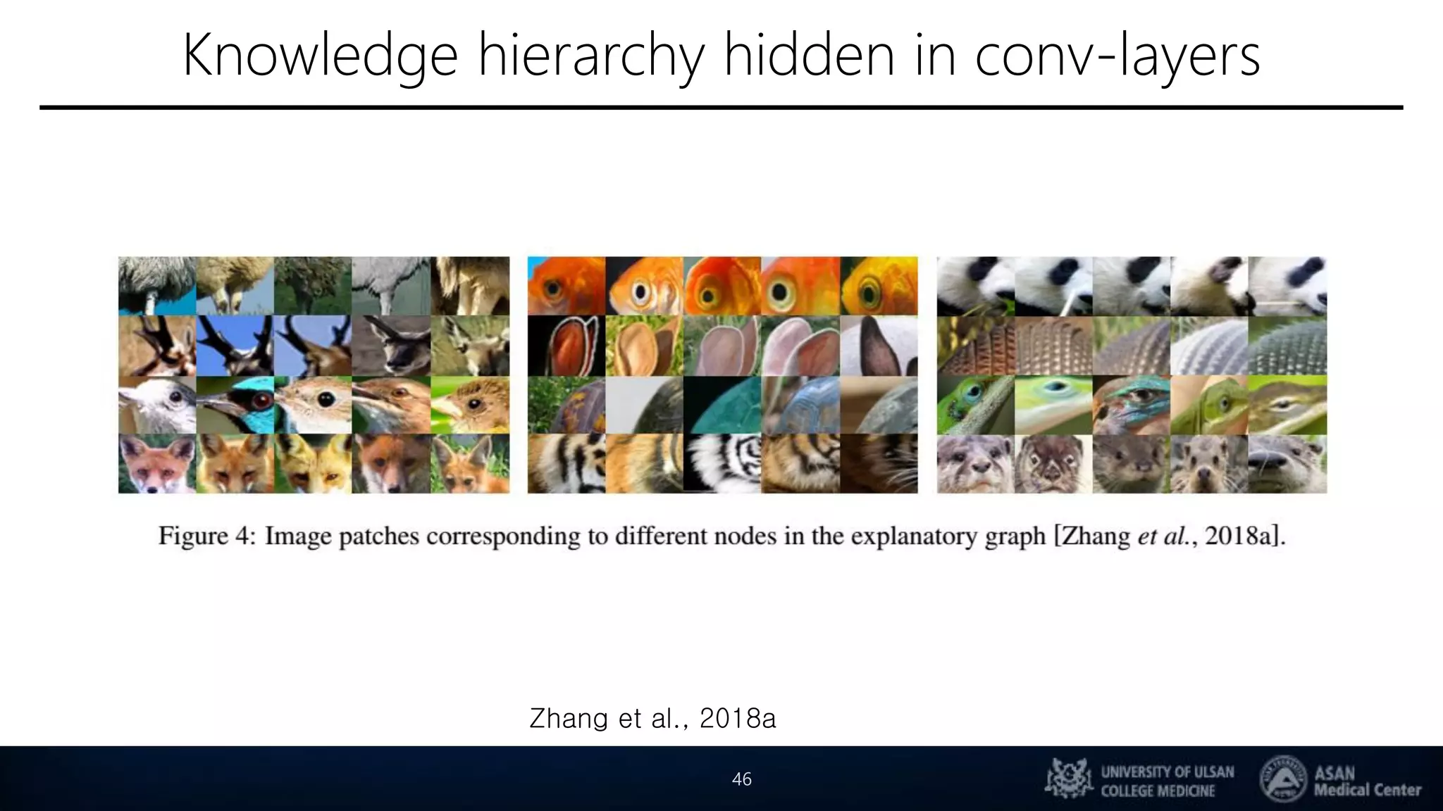 Knowledge hierarchy hidden in conv-layers
46
Zhang et al., 2018a
 