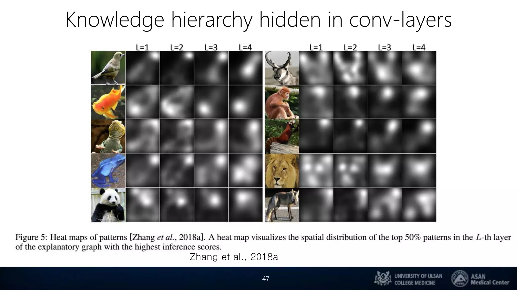 Knowledge hierarchy hidden in conv-layers
47
Zhang et al., 2018a
 