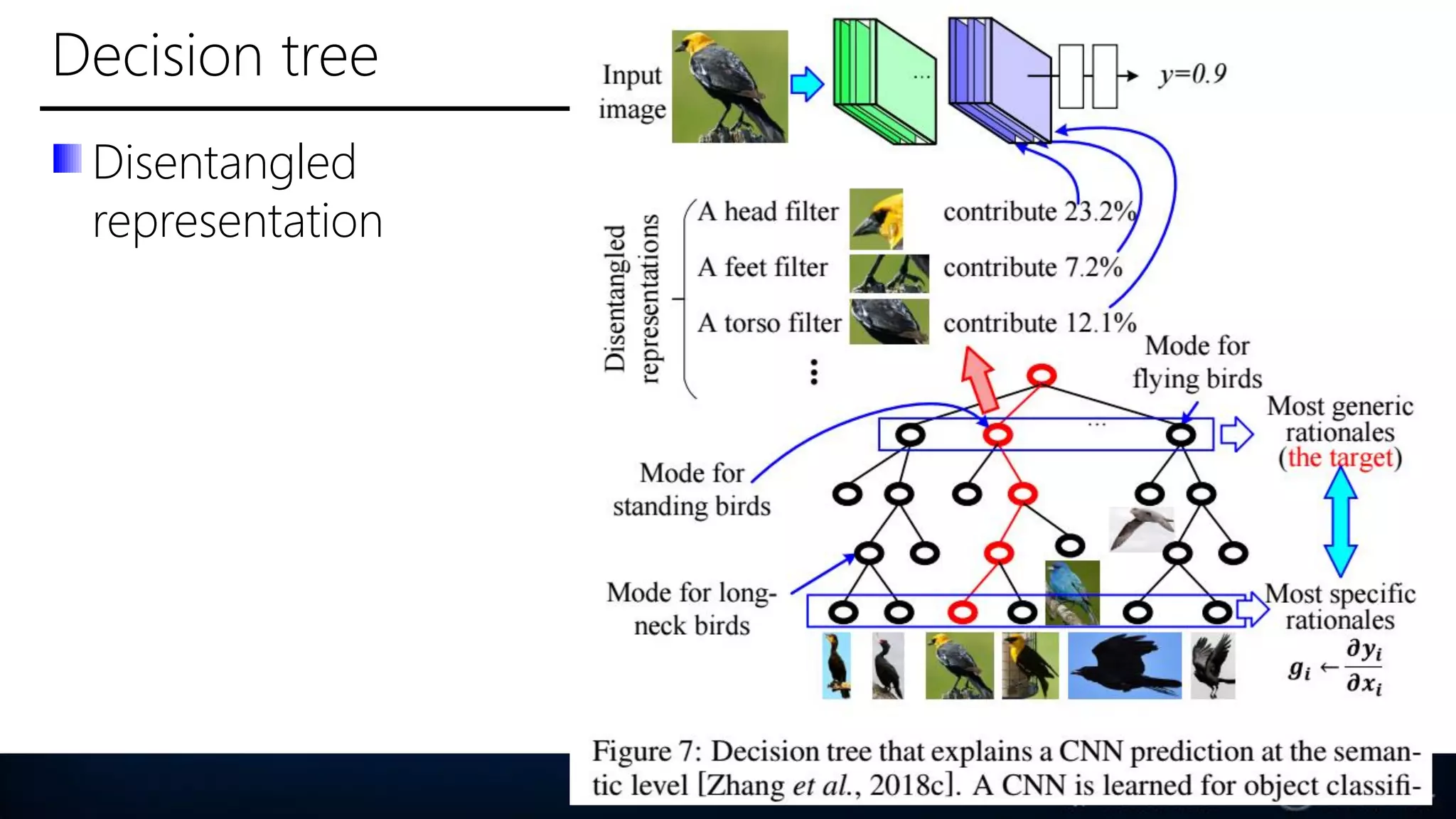 Decision tree
Disentangled
representation
49
 