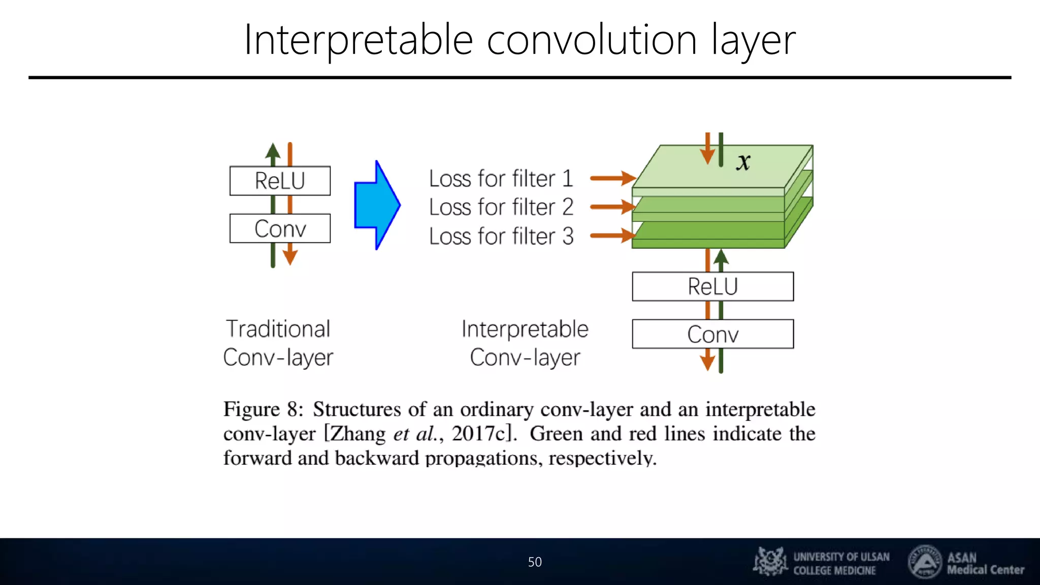 Interpretable convolution layer
50
 