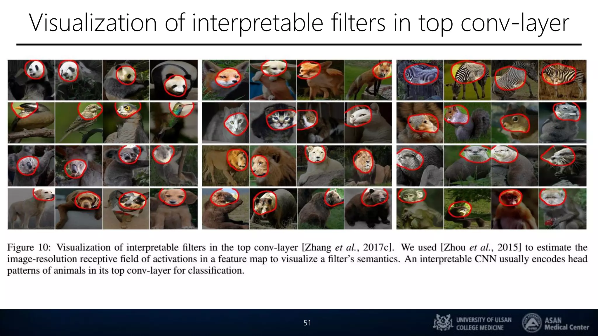 Visualization of interpretable filters in top conv-layer
51
 