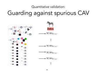 ……
Zebra
Quantitative validation:
Guarding against spurious CAV
!49
 