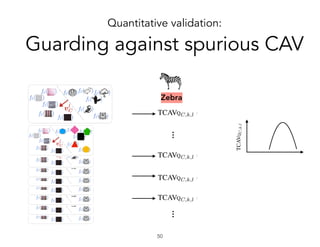 ……
Zebra
Quantitative validation:
Guarding against spurious CAV
!50
 