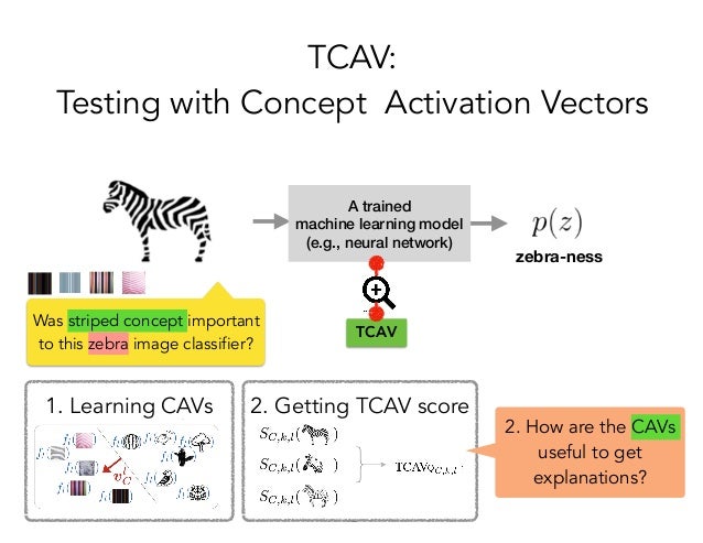 tcav machine learning