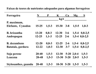 Faixas de teores de nutrientes adequados para algumas forrageiras

Forrageira              N     P      K       Ca   Mg     S
                        ______________ kg/t _______________
P. maximum,
Elefante, Cynodon      15-25   1,5-3   15-30 3-8   1,5-5 1,0-3

B. brizantha
B b i th               13-20
                       13 20   0,8-3
                               08 3    12-30 3-6
                                       12 30 3 6   1,5-4 0 8 2 5
                                                   1 5 4 0,8-2,5
Andropogon             12-25   1,1-3   12-25 2-6   1,5-4 0,8-2,5

B. decumbens           12-20   0,8-3   12-25 2-6 1,5-4 0,8-2,5
Batatais, gordura      12-22   1,0-3   12-30 3-7 1,5-4 0,8-2,5

Soja perene            20-40   1,5-3   12-30 5-20 2,0-4 1,5-3
Leucena                20-48   1,5-3   13-30 5-20 2,0-5 1,5-3

Stylosanthes, guandu   20-40   1,5-3   10-30 5-20 1,5-5   1,5-3
 