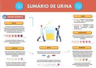 CETONAS
As cetonas são compostos derivados da
degradação das gorduras para gerar energia.
Sua presença geralmente está associada a
diabetes, jejum prolongado, dietas pobres em
carboidratos, gastroenterites, etc.
Seu valor de referência é negativo, e sua
presença pode ser representada em cruzes (+),
denominada Cetonúria.
LEUCÓCITOS
Suas concentrações são identificadas a partir
da pesquisa de Estersase Leucocitária, que
indica de forma significativa infecções do
trato urinário.
Seu valor de referência é negativo, e, quando
presentes, são identificadas por cruzes (+) e
geralmente estão associadas a bactérias.
NITRITO
A presença de nitrito na urina é decorrente da ação
de bactérias gram- redutoras de nitrato a nitrito.
Seu valor de referência é negativo, e sua presença
pode estar relacionada a infecções no trato urinário.
BILIRRUBINA
A bilirrubina é formada através do processo
normal de degradação das hemácias. Sua
forma indireta é transportada até o fígado,
ligada a albumina e degradada por uma
enzima, formando a bilirrubina direta.
Sua presença na urina pode indicar
problemas hepáticos ou hemolíticos, sendo
valor de referência negativo.
UROBILINOGÊNIO
Avalia distúrbios hepáticos e hemolíticos, pois
sua presença está ligada ao aumento da
bilirrubina.
SANGUE
Hematúria = sangue na urina decorrente
de cálculos renais, glomerulonefrite,
tumores, pielonefrite, etc.
Hemoglobinúria = hemoglobina na urina,
decorrente de transfusões, anemia
hemolítica, queimaduras, infecções,
intoxicações, etc.
Licenciado
para
-
Marcia
-
45148147687
-
Protegido
por
Eduzz.com
 