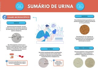 Podem estar
presentes devido a
contaminação da
amostra.
HEMÁCIAS
Apresentam formato discoide, com halo
central e são células anucleadas. Geralmente
são observadas por meio da refratância, que
aparece e desaparece.
São células pequenas, menores que os
leucócitos, estando presentes em casos como:
doenças renais, infecção urinária, anemia
falciforme, atividade física em excesso ou
alguns medicamentos.
Sua presença pode influenciar no aspecto,
coloração e positividade na fita reagente
eritrocitária.
LEUCÓCITOS
São predominantemente granulócitos e sua
presença geralmente é indicativa de infecção
no trato geniturinário.
É identificado por seu citoplasma de
granulações finas, não sendo possível a
identificação da sua morfologia pela
deterioração na amostra.
BACTÉRIAS
São de fácil visualização devido a movimentação,
estando na forma de cocos ou bacilos. Estão
envolvidas nas infecções e seus principais tipos
são Enterobactérias e Staphylococcus.
FUNGOS / LEVEDURAS
Estruturas pequenas e ovais, geralmente
relacionados a casos de diabetes ou
candidíase. O fungo mais encontrado é a
Cândida sp.
Licenciado
para
-
Marcia
-
45148147687
-
Protegido
por
Eduzz.com
 