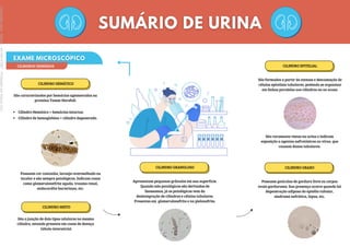 CILINDROS URINÁRIOS
CILINDRO HEMÁTICO
São caracterizados por hemácias aglomeradas na
proteína Tamm-Horsfall.
Cilindro Hemático = hemácias intactas.
Cilindro de hemoglobina = cilindro degenerado.
Possuem cor castanha, laranja-avermelhado ou
incolor e são sempre patológicos. Indicam casos
como glomerulonefrite aguda, trauma renal,
endocardite bacteriana, etc.
CILINDRO EPITELIAL
São formados a partir da estease e descamação de
células epiteliais tubulares, podendo se organizar
em linhas paralelas aos cilindros ou ao acaso.
São raramente vistos na urina e indicam
exposição a agentes nefrotóxicos ou vírus, que
causam danos tubulares.
CILINDRO GRAXO
Possuem gotículas de gordura livre ou corpos
ovais gordurosos. Sua presença ocorre quando há
degeneração adiposa do epitélio tubular,
síndrome nefrótica, lúpus, etc.
CILINDRO GRANULOSO
Apresentam pequenos grânulos em sua superfície.
Quando não patológicos são derivados de
lisossomos, já os patológicos vem da
desintegração de cilindros e células tubulares.
Presentes em glomerulonefrite e na pielonefrite.
CILINDRO MISTO
São a junção de dois tipos celulares no mesmo
cilindro, estando presente em casos de doença
túbulo-intersticial.
Licenciado
para
-
Marcia
-
45148147687
-
Protegido
por
Eduzz.com
 