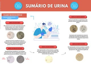 Di-
hidratado
Pode não apresentar significado clínico na
maioria dos casos, porém possuem relevância em
eventos de gota, aumento do metabolismo de
purina e Síndrome de Lesch-Nyhan.
CRISTAIS URINÁRIOS ÁCIDOS
NORMAIS
CRISTAL DE ÁCIDO ÚRICO
São normais de urina ácida, possuindo formas de
losango, prisma, oval e roseta. Geralmente
possuem coloração amarela ou castanho-
avermelhada, dependendo da espessura.
CRISTAL DE OXALATO DE CÁLCIO
Possuem formato semelhante a um envelope e
coloração incolor. Não tem significado clínico, mas
podem estar presentes em diabetes e doença renal.
Mono-
hidratado
CRISTAL DE URATOS AMORFOS
Comuns em pH ácido e se apresentam como
grânulos castano-amarelados, em forma de
"poeira".
Geralmente são visualizados em amostras
refrigeradas, formando um sedimento rosa
característico. Não apresentam importância
clínica.
CRISTAL DE URATO DE SÓDIO
São apresentados na forma cristalina ou amorfa,
possuindo formato de agulha, prisma, feixe ou
agrupamentos. Não apresentam significado
clínico.
CRISTAL DE ÁCIDO HIPÚRICO
São representados na forma de placa ou prisma
alongado, incolores ou castanho-amarelados. Não
possuem significado clínico e são raramente
encontrados nas amostras.
Licenciado
para
-
Marcia
-
45148147687
-
Protegido
por
Eduzz.com
 
