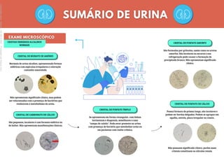 CRISTAIS URINÁRIOS ALCALINOS
NORMAIS
CRISTAL DE BIURATO DE AMÔNIO
Normais de urina alcalina, apresentando formas
esféricas com espículas irregulares e coloração
castanho-amarelado.
Não apresentam significado clínico, mas podem
ser relacionadas com a presença de bactérias que
realizaram o metabolismo da ureia.
CRISTAL DE CARBONATO DE CÁLCIO
São pequenos, incolores e com formato esférico ou
de halter. Não apresentam manifestações clínicas.
CRISTAL DE FOSFATO AMORFO
São formados por grânulos, assim como os uratos
amorfos. São incolores ou escuros e sua
refrigeração pode causar a formação de
precipitado branco. Não apresentam significado
clínico.
CRISTAL DE FOSFATO DE CÁLCIO
Possui formato de prisma longo, são incolores e
podem ter bordas delgadas. Podem se agrupar em
agulha, estrela, placa irregular ou roseta.
Não possuem significado clínico, porém esses
cristais constituem os cálculos renais.
CRISTAL DE FOSFATO TRIPLO
Se apresentam em forma retangular, com linhas
horizontais e diagonais, semelhante a uma
"tampa de caixão". Pode estar presente na urina
com presença de bactéria que metaboliza ureia ou
em pacientes com cistite crônica.
Licenciado
para
-
Marcia
-
45148147687
-
Protegido
por
Eduzz.com
 