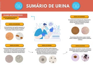 CRISTAIS URINÁRIOS ANORMAIS
DE ORIGEM MEABÓLICA
CRISTAL DE BILIRRUBINA
São identificados como agulhas agregadas ou
grânulos de coloração amarela ou castanho-
avermelhado. Indicam doença hepática.
CRISTAL DE CISTINA
Cristais patológicos que se apresentam incolores,
hexagonais, com chapas finas ou grossas. São
encontrados em casos de distúrbio metabólico e
tem a tendência a desenvolver cálculos renais.
CRISTAL DE COLESTEROL
Sua visualização é facilitada após refrigeração da
amostra, no qual os lipídeos preservam seu
formato. São placas retangulares, grandes,
achatadas e incolor.
Sua presença indica intensa ruptura tissular,
nefrite, condições nefríticas, quilúria e síndrome
nefrótica.
CRISTAL DE LEUCINA
São esféricos, com estrias e círculos concêntricos
de coloração amarela ou castanha. Sua presença
indica doença urinária e hepática.
CRISTAL DE TIROSINA
Se apresentam como finas agulhas delgadas e
agrupadas com coloração negra ou amarela. Podem
ser observados junto com cristais de leucina e
bilirrubina. Presentes em doenças hepáticas e
distúrbios do metabolismo de aminoácidos.
Licenciado
para
-
Marcia
-
45148147687
-
Protegido
por
Eduzz.com
 