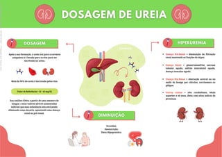 CH4N2O
Após a sua formação, a ureia vai para a corrente
sanguínea e é levada para os rins para ser
excretada na urina.
Sua análise é feita a partir de uma amostra de
sangue, e seus valores séricos aumentados
indicam que essa substância não está sendo
eliminada como deveria, apontando uma doença
renal ou pré-renal.
Valor de Referência = 15 - 45 mg/dL
Mais de 90% da ureia é excretada pelos rins.
Doença Pré-Renal = diminuição da filtração
renal mantendo as funções do órgao.
Doença Renal = glomerulonefrite, necrose
tubular aguda, nefrite intersticial aguda,
doença vascular aguda.
Doença Pós-Renal = obstrução uretral ou na
saída da bexiga por cálculos, carcinomas ou
pólipos.
Outras causas = alto catabolismo, idade
superior a 40 anos, dieta com altos índices de
proteínas.
Gravidez;
Desnutrição;
Dieta Hipoproteica.
Licenciado
para
-
Marcia
-
45148147687
-
Protegido
por
Eduzz.com
 