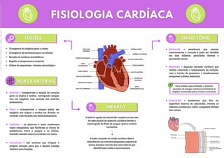 VEIA CAVA
SUPERIOR
VEIAS
PULMONARES
ÁTRIO DIREITO
VÁLVULA TRICÚSPIDE
VENTRÍCULO DIREITO
VEIA CAVA INFERIOR
ARTÉRIA AORTA
ARTÉRIA PULMONAR
ÁTRIO ESQUERDO
VÁLVULA MITRAL
VENTRÍCULO
ESQUERDO
SEPTO
INTERVENTRICULAR
VÁLVULA SEMILUNAR
TRONCO PULMONAR
Transporte do oxigênio para o corpo;
Transporte de nutrientes para as células;
Recolhe os resíduos metabólicos ;
Regular a temperatura corporal;
Defesa do organismo - sistema imunológico.
Artérias = transportam o sangue do coração
para os órgãos e tecidos, carregando sangue
rico em oxigênio, com exceção das artérias
pulmonares.
Veias = transportam o sangue pobre em
oxigênio dos órgãos e tecidos em direção ao
coração, com exceção das veias pulmonares.
Pericárdio = membrana que reveste
externamente o coração e pode ser dividido
em dois folhetos: pericárdio fibroso e
pericárdio seroso.
Miocárdio = músculo estriado cardíaco que
realiza contração e relaxamento do coração,
com o intuito de promover o bombeamento
sanguíneo (células: miócitos).
Endocárdio = membrana que fica na
superfície interna do miocárdio, reveste as
câmaras cardíacas e cobre o esqueleto fibroso
das valvas.
Coronárias = são artérias que irrigam o
próprio coração para que o mesmo consiga
realizar suas funções..
Capilares = os menores e mais numerosos
vasos sanguíneos, que facilitam as trocas de
substâncias entre o sangue e as células,
fazendo conexão entre as artérias e as veias.
Para realizar essa atividade, o músculo
necessita de energia contínua proveniente do
oxigênio, fornecidas pelas artérias coronárias
O infarto agudo do miocárdio consiste na necrose
de uma porção do músculo cardíaco devido a
interrupção do fluxo de sangue para a artéria
coronária.
A lesão causada no tecido cardíaco libera
substâncias na corrente sanguínea capazes de
serem dosadas através dos marcadores que
identificam a lesão e sua extensão.
Licenciado
para
-
Marcia
-
45148147687
-
Protegido
por
Eduzz.com
 