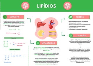Álcool
Os lipídios são substâncias orgânicas apolares,
classificados em sua maioria como ésteres de
ácido graxo + álcool. Por serem apolares, devem
se ligar a lipoproteínas para se transportarem
pela corrente sanguínea.
- OH
Ácido Graxo C
O
OH
=
-
CH2 OH
CH OH
CH2 OH
-
-
-
-
-
Glicerol
O
OH
C CH2 CH2 (...)
- - -
-
=
Ácido Graxo
EXEMPLO:
Síntese por desidratação
CH2 O
CH OH
CH2 OH
-
-
-
-
-
- C
=
O
- CH2 - CH2 - CH2 - (...)
Monoglicerídeo
+
Reserva energética através dos adipócitos;
Isolante térmico e elétrico;
Estrutura da membrana através do fosfolipídio;
Fazem parte dos hormônios sexuais;
Impermeabilizante;
Carregadores de vitaminas lipossolúveis.
Os lipídios são digeridos pelo intestino delgado,
onde os sais biliares emulsificam as gorduras em
micelas com o intuito de facilitar a ação das
lipases.
A lipase hidrolisa as ligações éster dos lipídios,
liberando ácidos graxos e glicerol, por exemplo,
que serão convertidos em triacilgliceróis.
Triacilgliceróis e carboidrato se juntam a
proteínas transportadoras formando os
quilomícrons, que irão circular pelo sangue até
chegar aos órgãos onde serão metabolizados
(fígado e coração).
O ácido graxo e o glicerol são metabolizados no fígado. O
glicerol entra na via glicolítica e o ácido graxo é convertido
em acetil-CoA.
O acetil-CoA entra no ciclo do ácido cítrico podendo gerar
energia para o fígado ou sendo exportada para outros
tecidos em forma de corpos cetônicos.
Quando os corpos cetônicos atingem outros tecidos,
voltam a ser acetil-CoA com o intuito de serem
metabolizados para gerar energia. Em casos de excesso de
energia pela alimentação, essa substância pode ser
armazenada em forma de gordura nos adipócitos.
Licenciado
para
-
Marcia
-
45148147687
-
Protegido
por
Eduzz.com
 