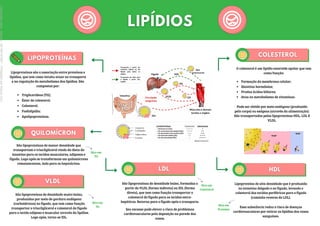 Lipoproteínas são a associação entre proteínas e
lipídios, que tem como intuito atuar no transporte
e na regulação do metabolismo dos lipídios. São
compostos por:
Triglicerídeos (TG);
Éster de colesterol;
Colesterol;
Fosfolipídio;
Apolipoproteínas.
São lipoproteínas de menor densidade que
transportam o triacilglicerol vindo da dieta do
intestino para os tecidos musculares, adiposos e
fígado. Logo após se transformam em quilomícrons
remanescentes, indo para os hepatócitos.
São lipoproteínas de densidade muito baixa,
produzidas por meio de gordura endógena
(carboidratos) no fígado, que tem como função
transportar o triacilglicerol e colesterol do fígado
para o tecido adiposo e muscular através da lipólise.
Logo após, torna-se IDL.
São lipoproteínas de densidade baixa, formadas a
partir do VLDL (forma indireta) ou IDL (forma
direta), que tem como função transportar o
colesterol do fígado para os tecidos extra-
hepáticos. Retorna para o fígado após o transporte.
Seu excesso pode elevar o risco de problemas
cardiovasculares pela deposição na parede dos
vasos.
Lipoproteína de alta densidade que é produzida
no intestino delgado e no fígado, levando o
colesterol dos tecidos periféricos para o fígado
(caminho reverso do LDL).
Essa substância reduz o risco de doenças
cardiovasculares por retirar os lipídios dos vasos
sanguíneo.
O colesterol é um lipídio esteroide apolar que tem
como função:
Pode ser obtido por meio endógeno (produzido
pelo corpo) ou exógeno (através da alimentação).
São transportados pelas lipoproteínas HDL, LDL E
VLDL.
Formação da membrana celular;
Sintetiza hormônios;
Produz ácidos biliares;
Atua no metabolismo de vitaminas.
Rico em
TG
Rico em
TG
Rico em
Colesterol
Rico em
Proteína
Licenciado
para
-
Marcia
-
45148147687
-
Protegido
por
Eduzz.com
 