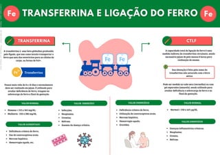,
Fe Fe
Sua obtenção é feita pela soma da
transferrina não saturada com o ferro
sérico.
A transferrina é uma beta globulina produzida
pelo fígado, que tem como intuito transportar o
ferro que saiu dos enterócitos para as células do
corpo, na forma de Fe3+.
Possui meia vida de 8 a 10 dias e normalmente
deve ser realizado em jejum. É utilizado para
avaliar deficiência de ferro, triagem na
sobrecarga do ferro e final da gestação.
Fe
3+
Transferrina
Homens = 215 a 365 mg/dL;
Mulheres - 250 a 380 mg/dL.
VALOR NORMAL
Deficiência crônica do ferro;
Uso de contraceptivos orais.
Necrose hepática;
Hemorragia aguda, etc.
VALOR AUMENTADO
Infecções;
Neoplasias;
Uremias;
Nefrose;
Anemia da doença crônica.
VALOR DIMINUÍDO
A capacidade total de ligação do ferro é uma
medida indireta da transferrina circulante, sendo
necessário jejum de pelo menos 8 horas para
realização do exame.
Pode ser medido no tubo seco (vermelho) ou com
gel separados (amarelo), sendo utilizado para
avaliar deficiência e sobrecarga de ferro e no
final da gestação.
Normal = 250 a 425 µg/dL.
VALOR NORMAL
Doenças inflamatórias crônicas;
Neoplasias;
Uremia;
Nefrose.
VALOR DIMINUÍDOS
Deficiência crônica de ferro;
Utilização de contraceptivos orais;
Necrose hepática;
Hemorragia aguda;
Gravidez.
VALOR DIMINUÍDOS
Licenciado
para
-
Marcia
-
45148147687
-
Protegido
por
Eduzz.com
 