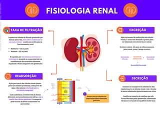Consiste no volume de filtrado produzido por
minuto pelos rins, sem sofrer reabsorção ou
secreção tubular - auxilia na verificação do
funcionamento renal.
Mulheres = 115 mL/min
Homens = 125 mL/min
É regulada por mecanismos intrínsecos e
extrínsecos, atuando na vasoconstrição ou
vasodilatação das arteríolas aferentes,
regulando o fluxo sanguíneo nos glomérulos.
Ação que ocorre dos túbulos renais (maior
parte nos túbulos proximais), onde parte da
água e dos solutos retornam para a
circulação sanguínea.
Consiste no transporte de substâncias dos
capilares para os túbulos renais, com o intuito
de serem eliminadas posteriormente na urina.
Cada substância é reabsorvida de forma
diferente, em locais distintos do néfron, com o
auxílio das células epiteliais. O transporte
pode ocorrer de forma transcelular ou
paracelular.
Após o processo de reabsorção dos túbulos
renais, a urina está formada e pronta para
ser eliminada através do ducto coletor.
Do ducto coletor, irá para os cálices menores,
pelve renal, ureter, bexiga e uretra.
Evitam com que substâncias
importantes sejam eliminadas
pelos rins.
Quantidade
Filtrada
Quantidade
Reabsorvida
Quantidade
Secretada
Quantidade Excretada
- +
=
Auxilia na remoção de resíduos que não
foram filtrados pelos glomérulos, eliminando
fármacos e atuando no equilíbrio ácido-base.
Licenciado
para
-
Marcia
-
45148147687
-
Protegido
por
Eduzz.com
 