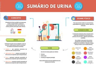 PRETO
Cloroquina, bilirrubina,
ácido homogentísico,
pseudomonas , proporfol
AMARELO PALHA
Normal
AMARELO ÂMBAR
Urina muito concentrada
- pouca hidratação.
MARROM
Bilirrubina em grande
quantidade, oxidação de
hemoglobina, etc
LARANJA
Alta excreção de urobilina,
fenazoprimidina, corante
de alimentos
ROSA/VERMELHO
Presença de sangue,
uratos, porfirinas
PÚRPURA
Infecções, sulfato de
indoxil, beterraba, amoras
AZUL/VERDE
Azul de metileno,
biliverdina, indometacina,
etc
O Sumário de Urina (ou EAS) é um exame que
avalia os aspecto físicos, químicos e
microscópicos da urina, com o intuito de
avaliar possíveis alterações nesse sistema.
Tem como intuito avaliar as características
organolépticas da amostra: volume, aspecto e
coloração.
COLORAÇÃO DA URINA
A coloração normal da urina é amarelo claro,
tendo essa tonalidade em decorrência da
presença de urocromo - pigmento derivado da
urobilina.
Sua análise e alterações vão envolver
questões de concentração, hidratação,
oxidação de metabólitos , infecções, sangue,
doenças renais e uso de medicamentos.
ASPECTO
Avaliação do quão turvo ou límpido a urina se
encontra, sendo possível observar presença
ou ausência de elementos anormais.
VOLUME
Através do volume podem ser obtidos:
Límpido = não apresenta estruturas em
suspensão após homogeneização.
Ligeiramente Turvo = pequena quantidade de
estruturas em suspensão após homogeneização.
Turvo = apresenta moderada quantidade de
elementos em suspensão após homogeneização.
Muito Turvo = apresenta grande quantidade de
elementos em suspensão após homogeneização.
Essas informações são mais significativas em
amostras de 24 horas.
Diurese
Hidratação
Presença de alguma patologia
Licenciado
para
-
Marcia
-
45148147687
-
Protegido
por
Eduzz.com
 