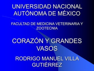 UNIVERSIDAD NACIONAL
AUTÓNOMA DE MÉXICO
FACULTAD DE MEDICINA VETERINARIA Y
ZOOTECNIA
CORAZÓN Y GRANDES
VASOS
RODRIGO MANUEL VILLA
GUTIÉRREZ
 