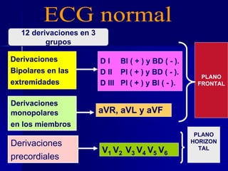 12 derivaciones en 3
grupos
Derivaciones
monopolares
en los miembros
aVR, aVL y aVF
Derivaciones
precordiales
V1 V2 V3 V4 V5 V6
D I BI ( + ) y BD ( - ).
D II PI ( + ) y BD ( - ).
D III PI ( + ) y BI ( - ).
Derivaciones
Bipolares en las
extremidades
PLANO
FRONTAL
PLANO
HORIZON
TAL
 