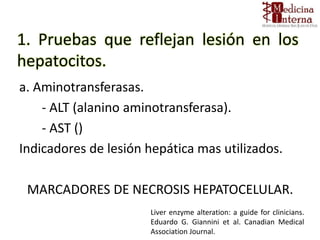 1. Pruebas que reflejan lesión en los
hepatocitos.
a. Aminotransferasas.
- ALT (alanino aminotransferasa).
- AST ()
Indicadores de lesión hepática mas utilizados.
MARCADORES DE NECROSIS HEPATOCELULAR.
Liver enzyme alteration: a guide for clinicians.
Eduardo G. Giannini et al. Canadian Medical
Association Journal.
 