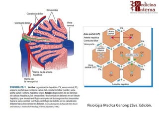 Fisiología Medica Ganong 23va. Edición.
 