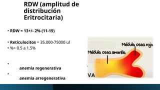 RDW (amplitud de
distribución
Eritrocitaria)
• RDW = 13+/- 2% (11-15)
• Reticulocitos = 35.000-75000 ul
• %= 0.5 a 1.5%
•
anemia regenerativa
•
anemia arregenerativa
 