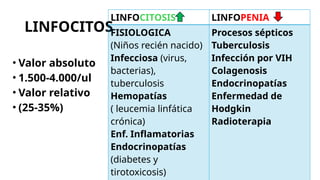 LINFOCITOS
• Valor absoluto
• 1.500-4.000/ul
• Valor relativo
• (25-35%)
LINFOCITOSIS LINFOPENIA
FISIOLOGICA
(Niños recién nacido)
Infecciosa (virus,
bacterias),
tuberculosis
Hemopatías
( leucemia linfática
crónica)
Enf. Inflamatorias
Endocrinopatías
(diabetes y
tirotoxicosis)
Procesos sépticos
Tuberculosis
Infección por VIH
Colagenosis
Endocrinopatías
Enfermedad de
Hodgkin
Radioterapia
 