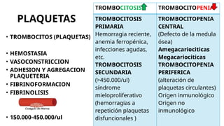 PLAQUETAS
• TROMBOCITOS (PLAQUETAS)
• HEMOSTASIA
• VASOCONSTRICCION
• ADHESION Y AGREGACION
PLAQUETERIA
• FIBRINOFORMACION
• FIBRINOLISIS
• 150.000-450.000/ul
TROMBOCITOSIS TROMBOCITOPENIA
TROMBOCITOSIS
PRIMARIA
Hemorragia reciente,
anemia ferropénica,
infecciones agudas,
etc.
TROMBOCITOSIS
SECUNDARIA
(>450.000/ul)
síndrome
mieloproliferativo
(hemorragias a
repetición plaquetas
disfuncionales )
TROMBOCITOPENIA
CENTRAL
(Defecto de la medula
ósea)
Amegacariociticas
Megacariociticas
TROMBOCITOPENIA
PERIFERICA
(alteración de
plaquetas circulantes)
Origen inmunológico
Origen no
inmunológico
 