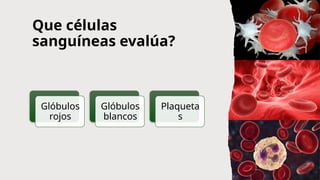 Que células
sanguíneas evalúa?
Glóbulos
rojos
Glóbulos
blancos
Plaqueta
s
 
