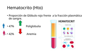 Hematocrito (Hto)
• Proporción de Glóbulo rojo frente a la fracción plasmática
de sangre.
• 47% Poliglobulia
• 42% Anemia
 